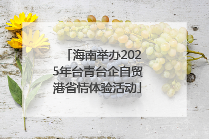 海南举办2025年台青台企自贸港省情体验活动